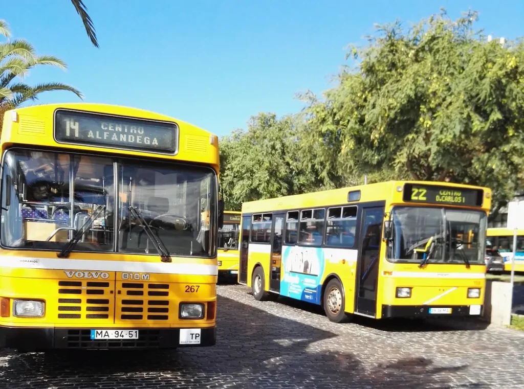 The yellow buses from Horários do Funchal, parked in Avenida do Mar